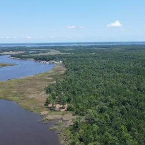 Bird's eye view of a forest and a large body of wa