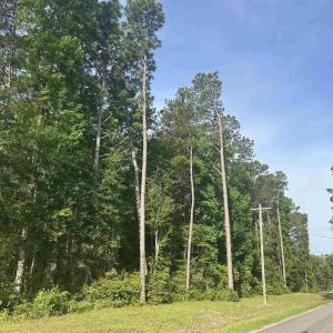 Photo #1 of TBD Roscoe Rd., Myrtle Beach, SC 9.3 acres