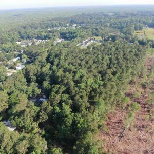 View of property location featuring a forest