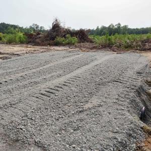 Photo #3 of TBD Albatross Rd, Georgetown, SC 5.8 acres