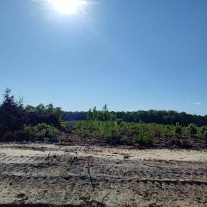 Photo #2 of TBD Albatross Rd, Georgetown, SC 5.8 acres