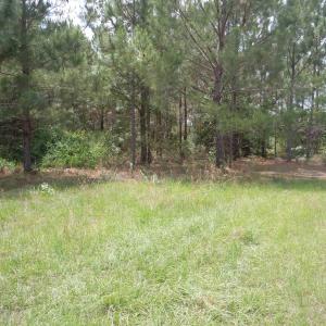 Photo #6 of 2231 Barts Rd., Loris, SC 9.9 acres