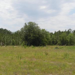 Photo #10 of 2231 Barts Rd., Loris, SC 9.9 acres