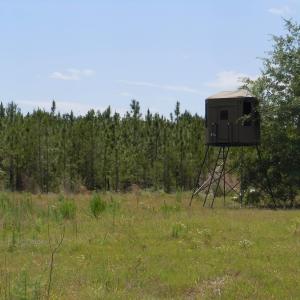 Photo #4 of 2231 Barts Rd., Loris, SC 9.9 acres