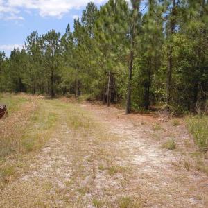 Photo #3 of 2231 Barts Rd., Loris, SC 9.9 acres