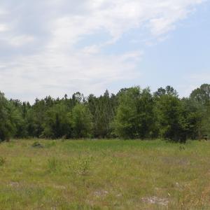 Photo #1 of 2231 Barts Rd., Loris, SC 9.9 acres