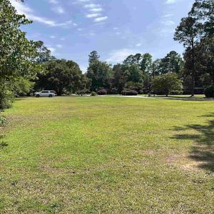 View of green lawn
