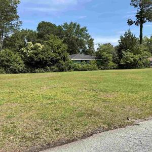 View of grassy yard