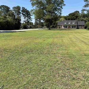 View of grassy yard