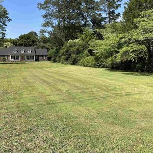 View of green lawn