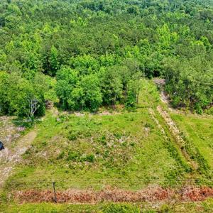 Aerial view of a heavily wooded area