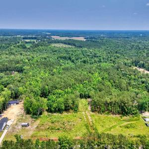 Drone / aerial view of a forest