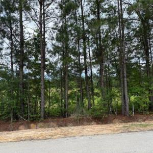 Photo #11 of 9.76 Acs Rabon Rd., Aynor, SC 9.8 acres