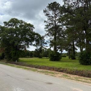 Photo #3 of 9.76 Acs Rabon Rd., Aynor, SC 9.8 acres