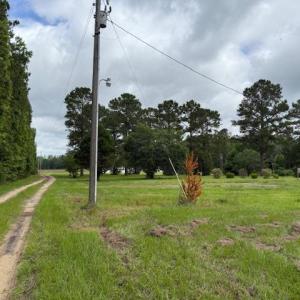 Photo #9 of 9.76 Acs Rabon Rd., Aynor, SC 9.8 acres