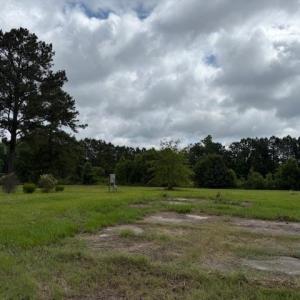 Photo #6 of 9.76 Acs Rabon Rd., Aynor, SC 9.8 acres