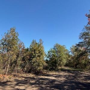 Photo #20 of 9.76 Acs Rabon Rd., Aynor, SC 9.8 acres