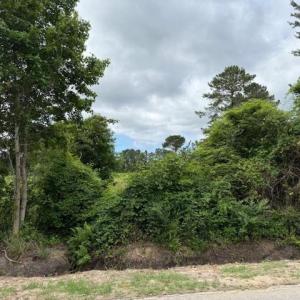 Photo #12 of 9.76 Acs Rabon Rd., Aynor, SC 9.8 acres