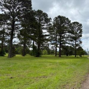 Photo #4 of 9.76 Acs Rabon Rd., Aynor, SC 9.8 acres