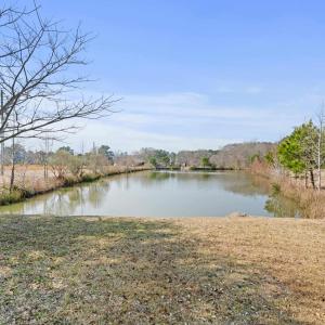 Photo #9 of 589 Loop Circle, Longs, SC 35.8 acres