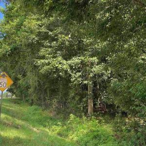 Photo #5 of TBD Highway 378, Conway, SC 27.3 acres