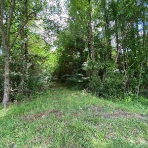 Photo #6 of TBD Highway 378, Conway, SC 27.3 acres