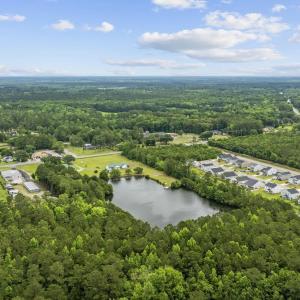 Drone / aerial view of a forest and a large body o