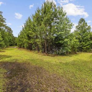 View of yard featuring a view of trees