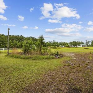 View of grassy yard