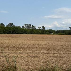 Photo #7 of Lot 8 Mack Rd., Conway, SC 2.0 acres