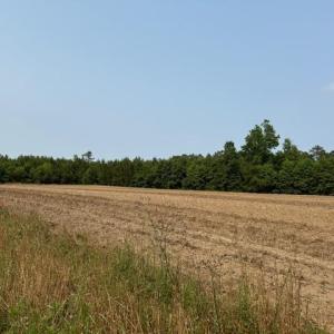 Photo #3 of Lot 9 Mack Rd., Conway, SC 2.0 acres