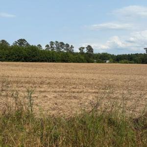 Photo #6 of Lot 9 Mack Rd., Conway, SC 2.0 acres