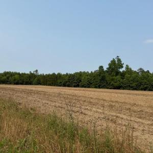 Photo #4 of Lot 9 Mack Rd., Conway, SC 2.0 acres