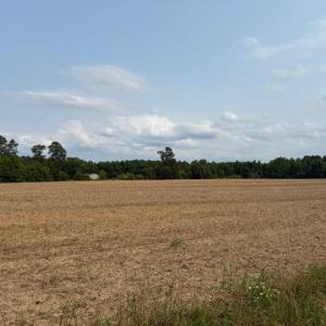 Photo #5 of Lot 9 Mack Rd., Conway, SC 2.0 acres