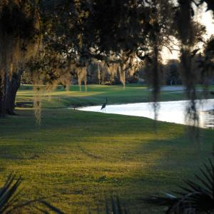 Photo #12 of Lot 81 Brandon Way, Georgetown, SC 0.5 acres