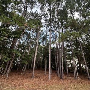 Photo #9 of Lot 81 Brandon Way, Georgetown, SC 0.5 acres