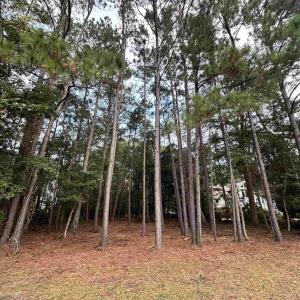 Photo #8 of Lot 81 Brandon Way, Georgetown, SC 0.5 acres