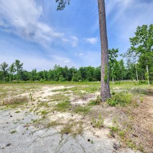 Photo #2 of 5375 Long Branch Swamp Rd., Nichols, SC 2.5 acres