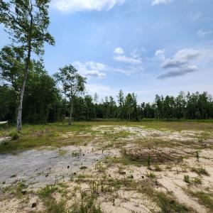 Photo #5 of 5375 Long Branch Swamp Rd., Nichols, SC 2.5 acres