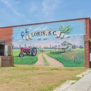 Photo #7 of 5375 Long Branch Swamp Rd., Nichols, SC 2.5 acres