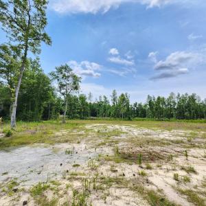 Photo #3 of 5375 Long Branch Swamp Rd., Nichols, SC 2.5 acres