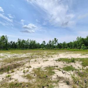 Photo #1 of 5375 Long Branch Swamp Rd., Nichols, SC 2.5 acres