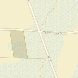 Photo #6 of 5375 Long Branch Swamp Rd., Nichols, SC 2.5 acres