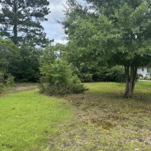 View of grassy yard