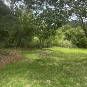 View of green lawn