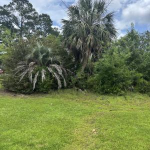 View of grassy yard