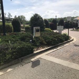 Photo #3 of 517 Harbour View Dr., Myrtle Beach, SC 0.2 acres