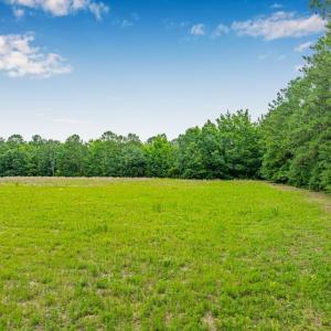 View of yard with a wooded view