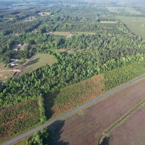 Photo #6 of 7 Acres Old Pee Dee Rd., Hemingway, SC 7.0 acres