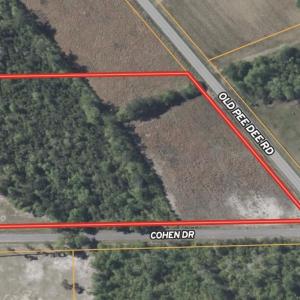 Photo #9 of 7 Acres Old Pee Dee Rd., Hemingway, SC 7.0 acres